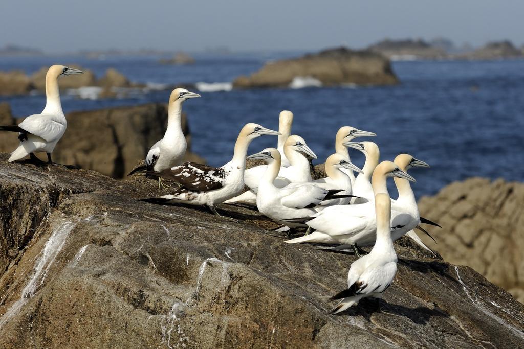Logis Hotel Ker Mor Perros-Guirec Kültér fotó
